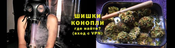 PSILOCYBIN Белокуриха