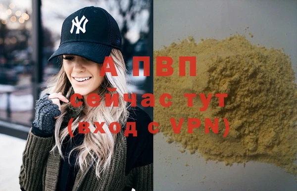 PSILOCYBIN Белокуриха