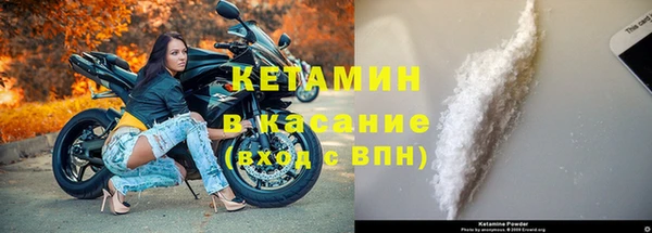PSILOCYBIN Белокуриха