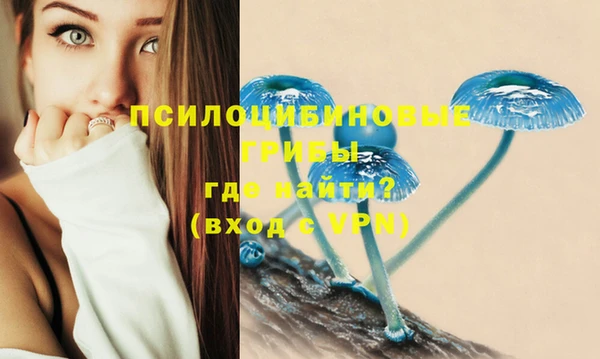 PSILOCYBIN Белокуриха