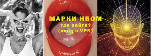 PSILOCYBIN Белокуриха